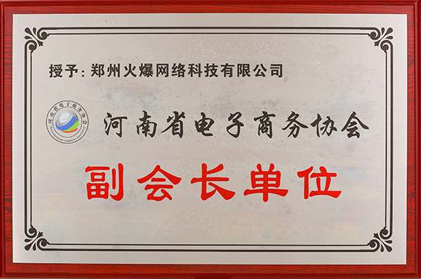 河南省电子商务协会副会长单位